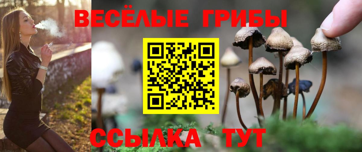 Галлюциногенные грибы мицелий Севастополь