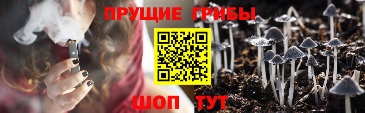 Галлюциногенные грибы прущие грибы  Вход с VPN  купить  сайты  Севастополь 